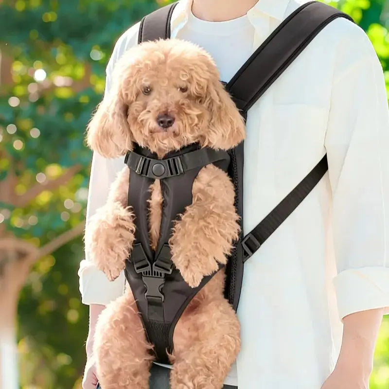 Mochila transportadora para perros y gatos