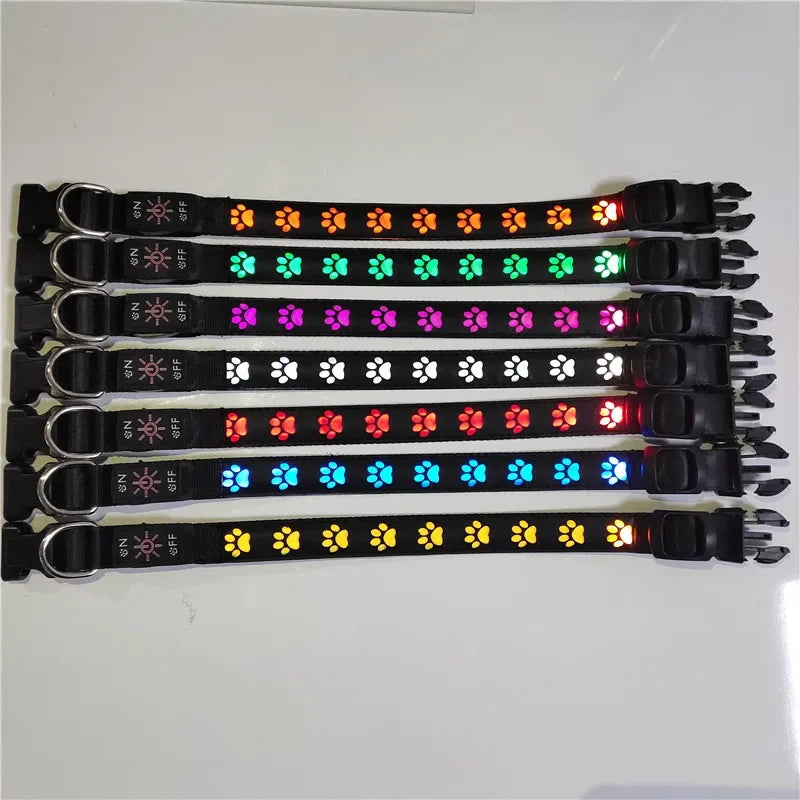 Collar luminoso LED para perros con forma de pata