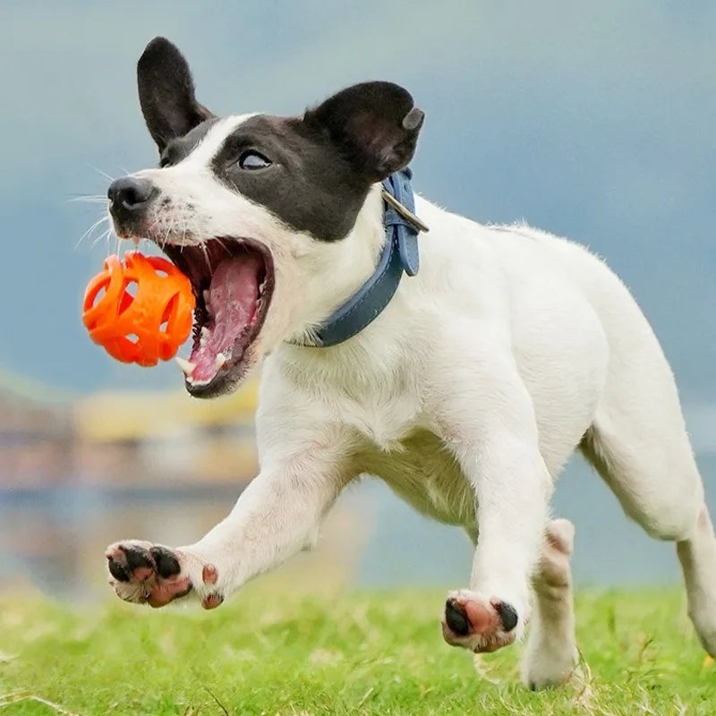 Pelotas masticables resistentes a los mordiscos