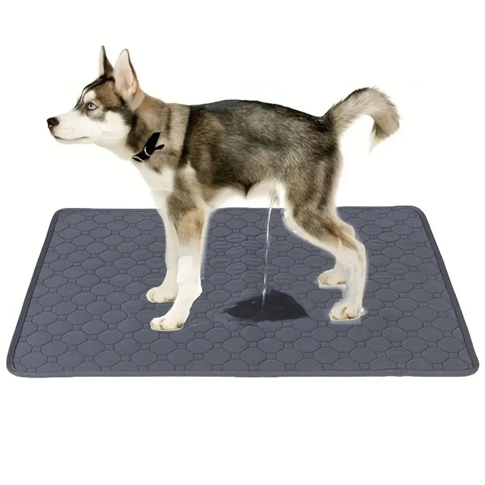 Manta absorbente reutilizable para orina de perro, pañal absorbente