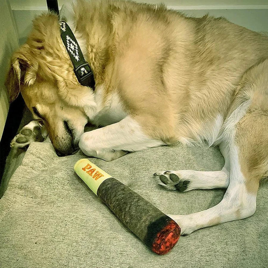 Juguetes interactivos y divertidos para perros