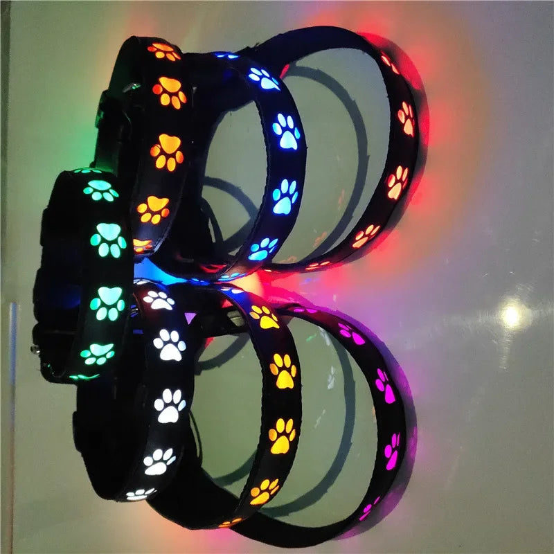 Collar luminoso LED para perros con forma de pata