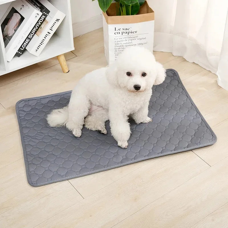 Manta absorbente reutilizable para orina de perro, pañal absorbente