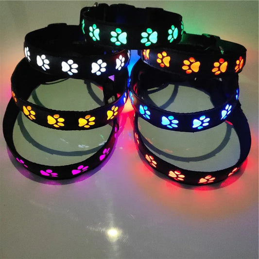 Collar luminoso LED para perros con forma de pata
