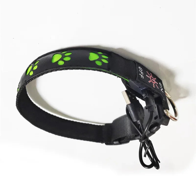 Collar luminoso LED para perros con forma de pata