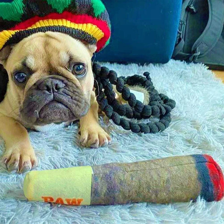 Juguetes interactivos y divertidos para perros