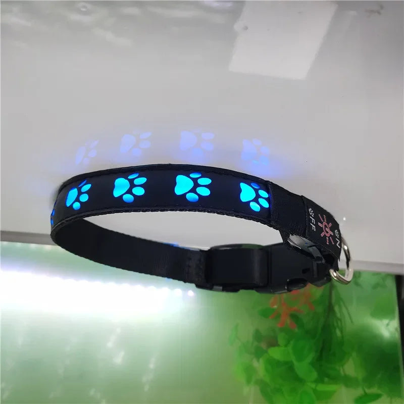 Collar luminoso LED para perros con forma de pata